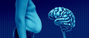 obesity causes