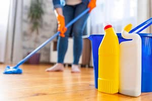 Toxic Household Items
