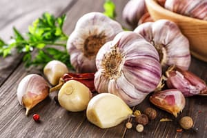 Immunity Boosters