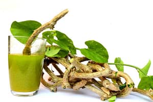 Immunity Boosters