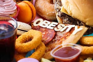 obesity causes