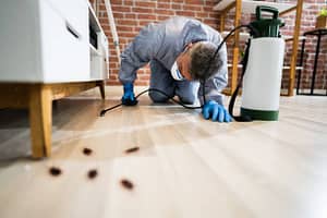 Toxic Household Items 