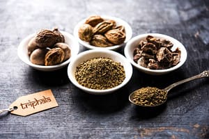 Immunity Boosters