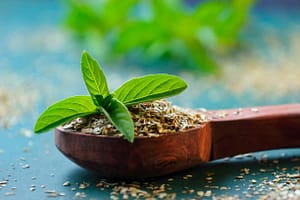 Immunity Boosters