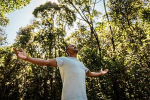 forest bathing