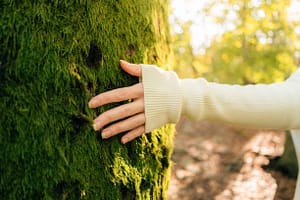 Forest-Bathing-technique