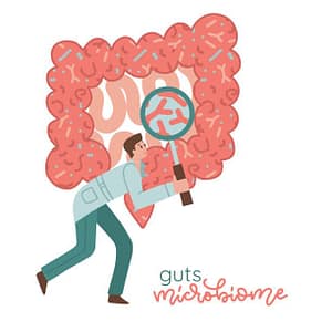 Gut Microbiome obesity