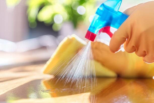 Toxic Household Items