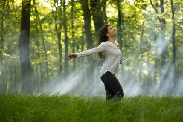 Forest Bathing