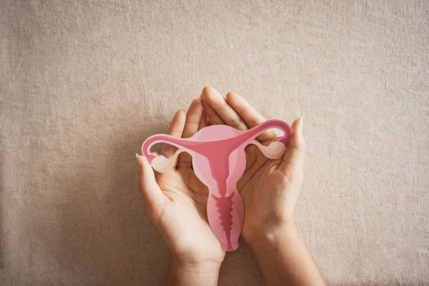 Menopause